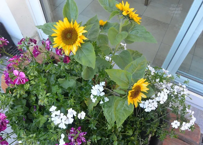 Bärgsunnu 2* Saas-Grund